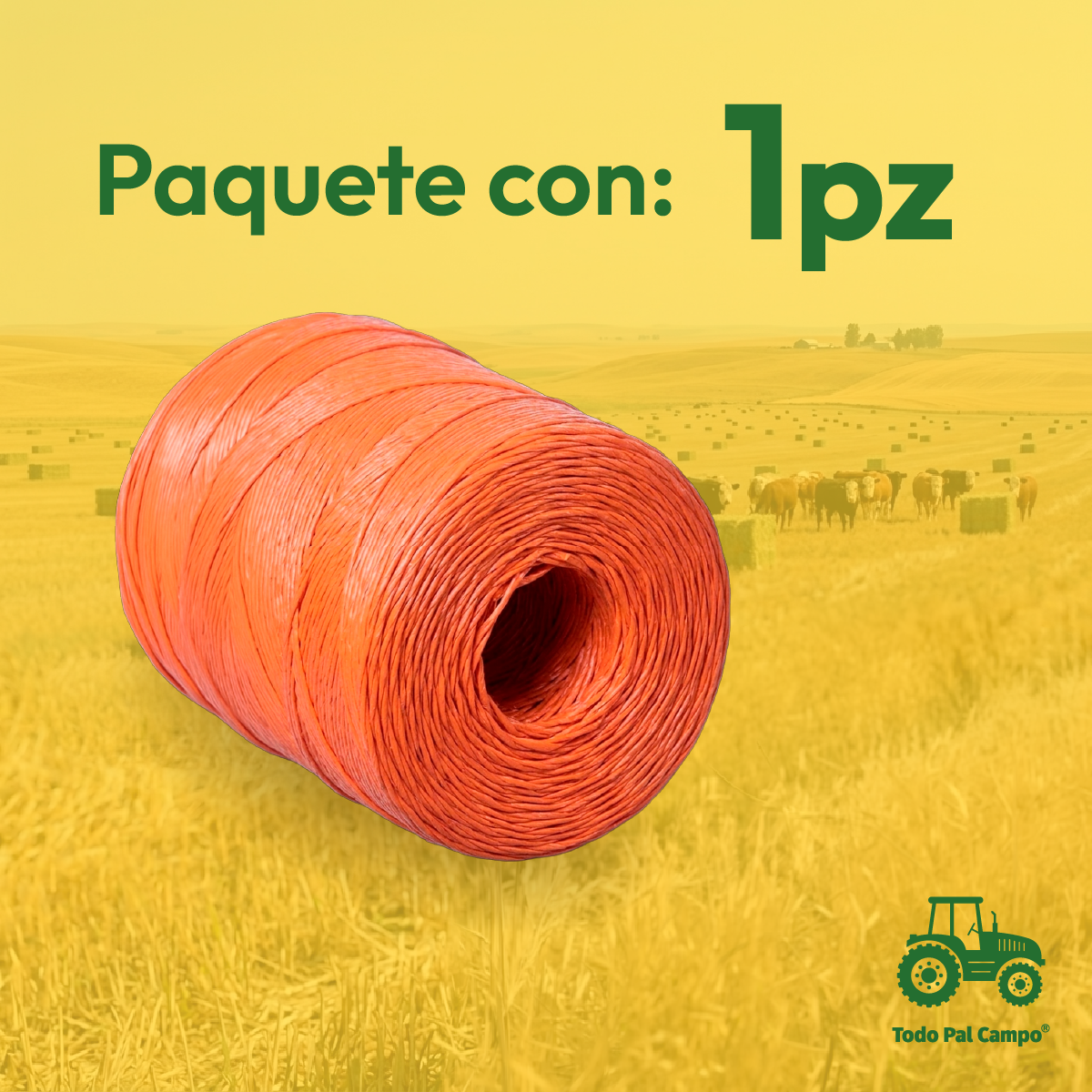 1 Pz Rafia Naranja Uv Fibrilada Cal. 2 Gr Bobina Con 2.5kg