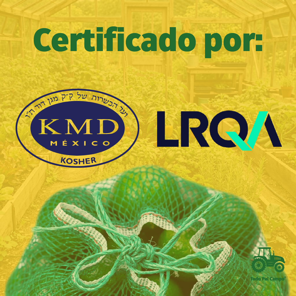 10pzs Arpilla Verde Polipropileno 58x86 Para Empaque Y Fruta