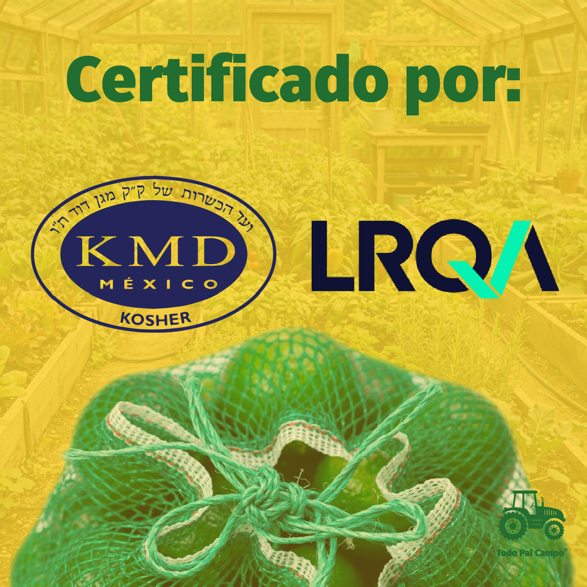 10pzs Arpilla Verde Polipropileno 58x86 Para Empaque Y Fruta