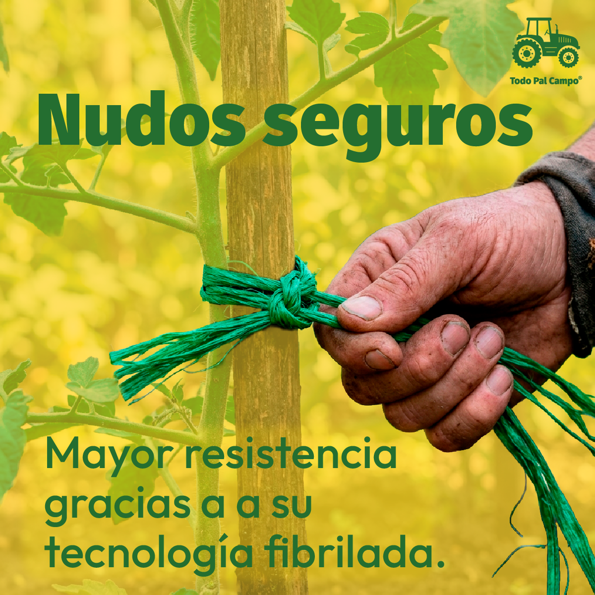 Rafia Fibrilada de 1 Kg Color Verde Bandera - 4 Unidades